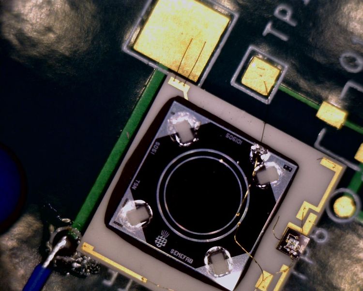 File:Ampteksipin.jpeg